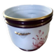 Plant pot