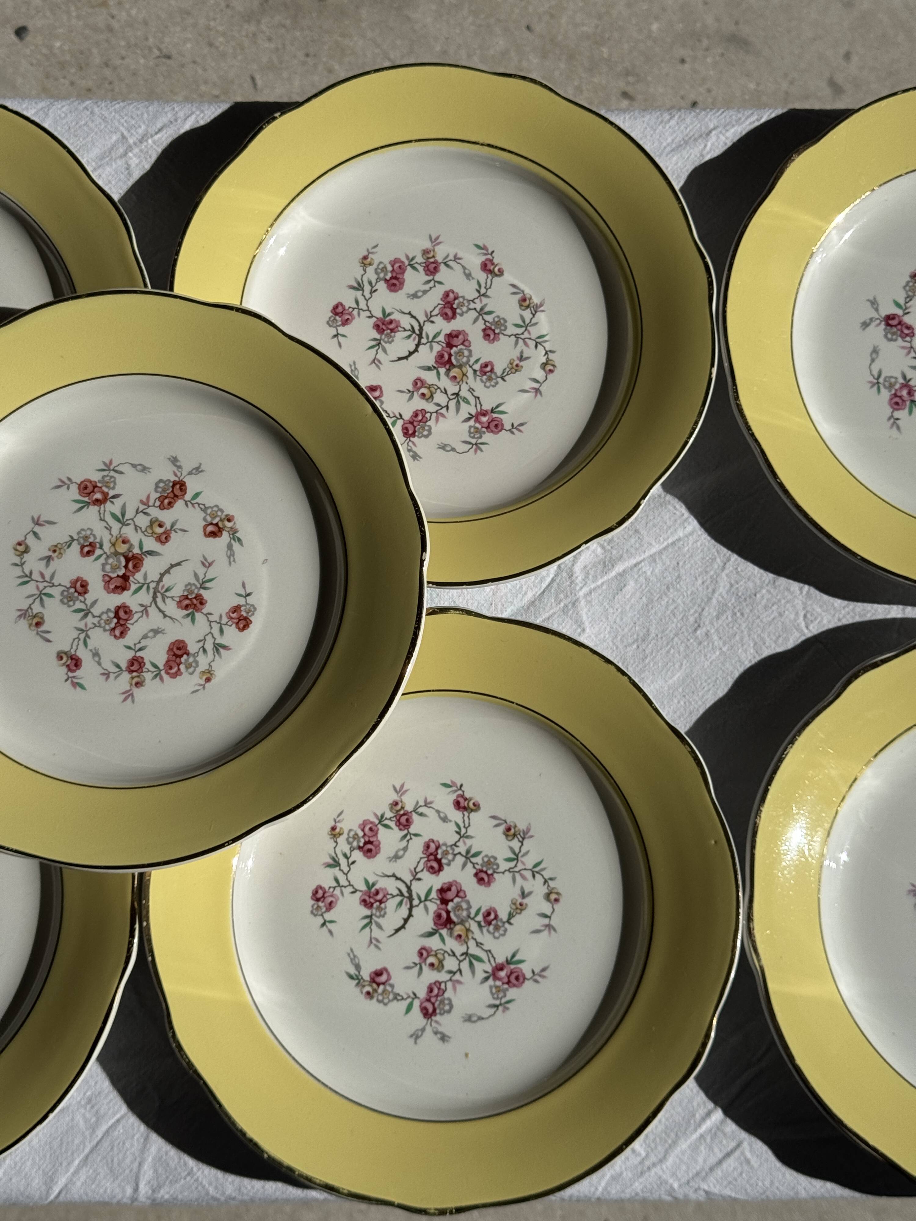 Lot de 19 grandes assiettes plates vintage jaunes fleurs roses liseré doré