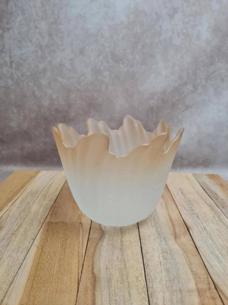 Vintage tulip lampshade in frosted glass.