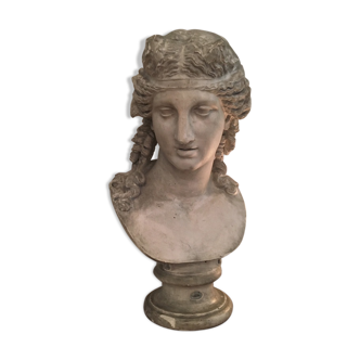 Buste de Dionysos 19ème