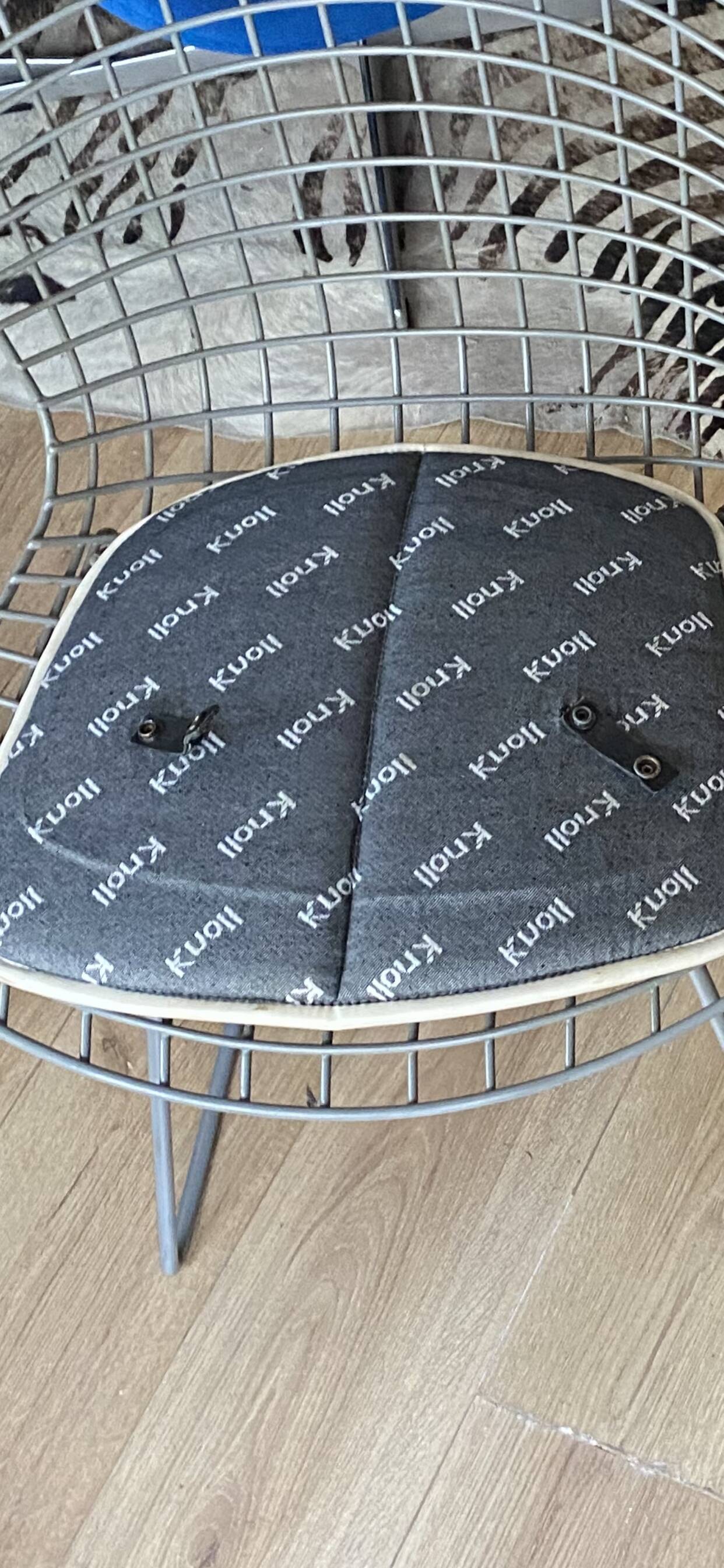 Chair Bertoia Rislan gray edition Knoll with white cake year 80