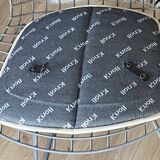 Chair Bertoia Rislan gray edition Knoll with white cake year 80