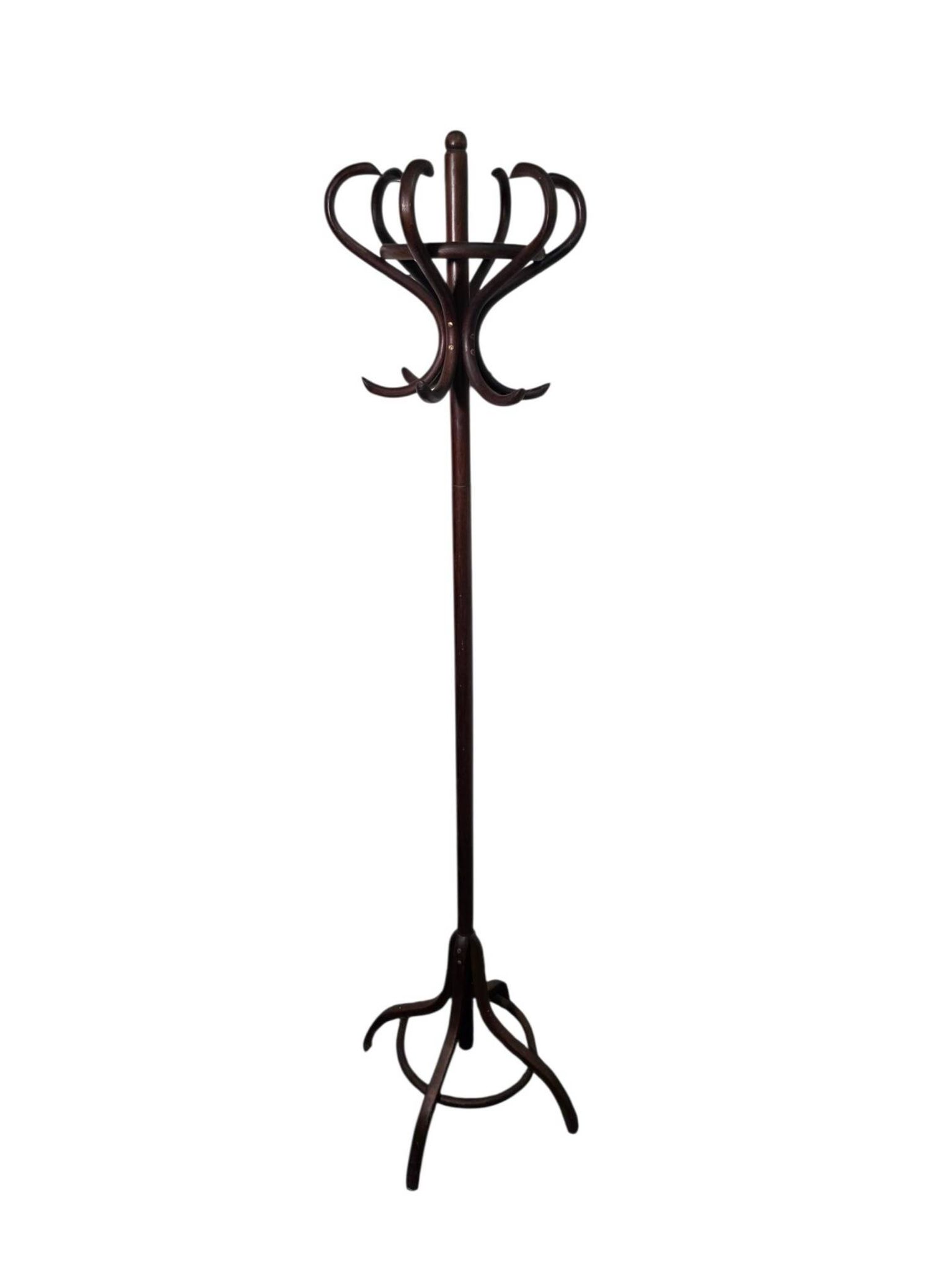 Perroquet en bois courbé ancien 