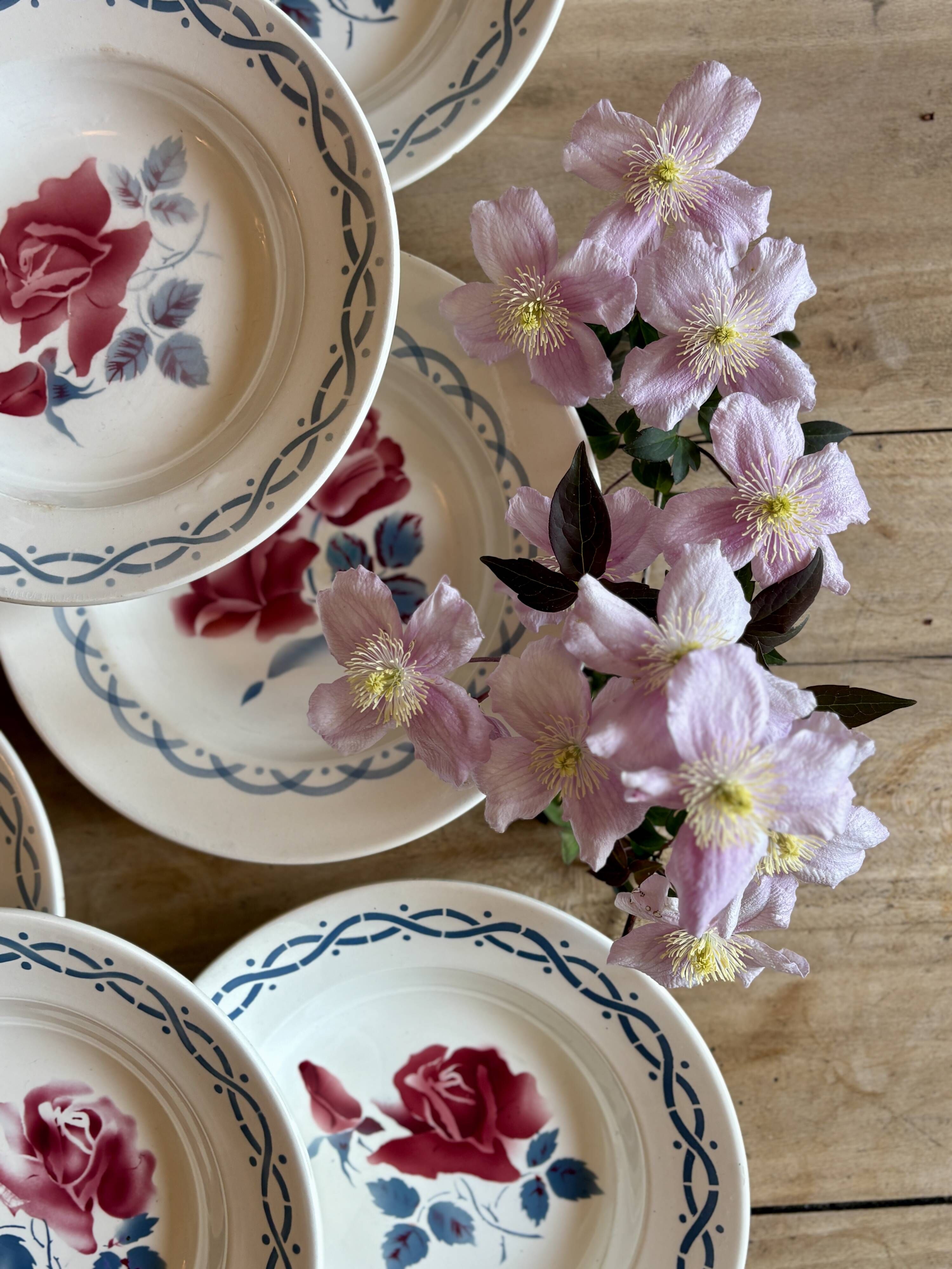 Set of 8 vintage soup plates - Janine and Cannes model by Digoin Sarrr