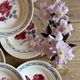 Set of 8 vintage soup plates - Janine and Cannes model by Digoin Sarrr