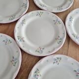 Ensemble de 6 assiettes à dessert fleuris