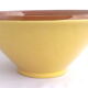 Brown ceramic salad and yellow ellipse