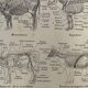 Lithograph on the anatomy of the cow from 1921