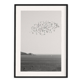 The Flight - Marseille