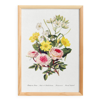 Affiche sur les roses pompon et fleurs printanières