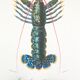 Zoological Board representing the lobster