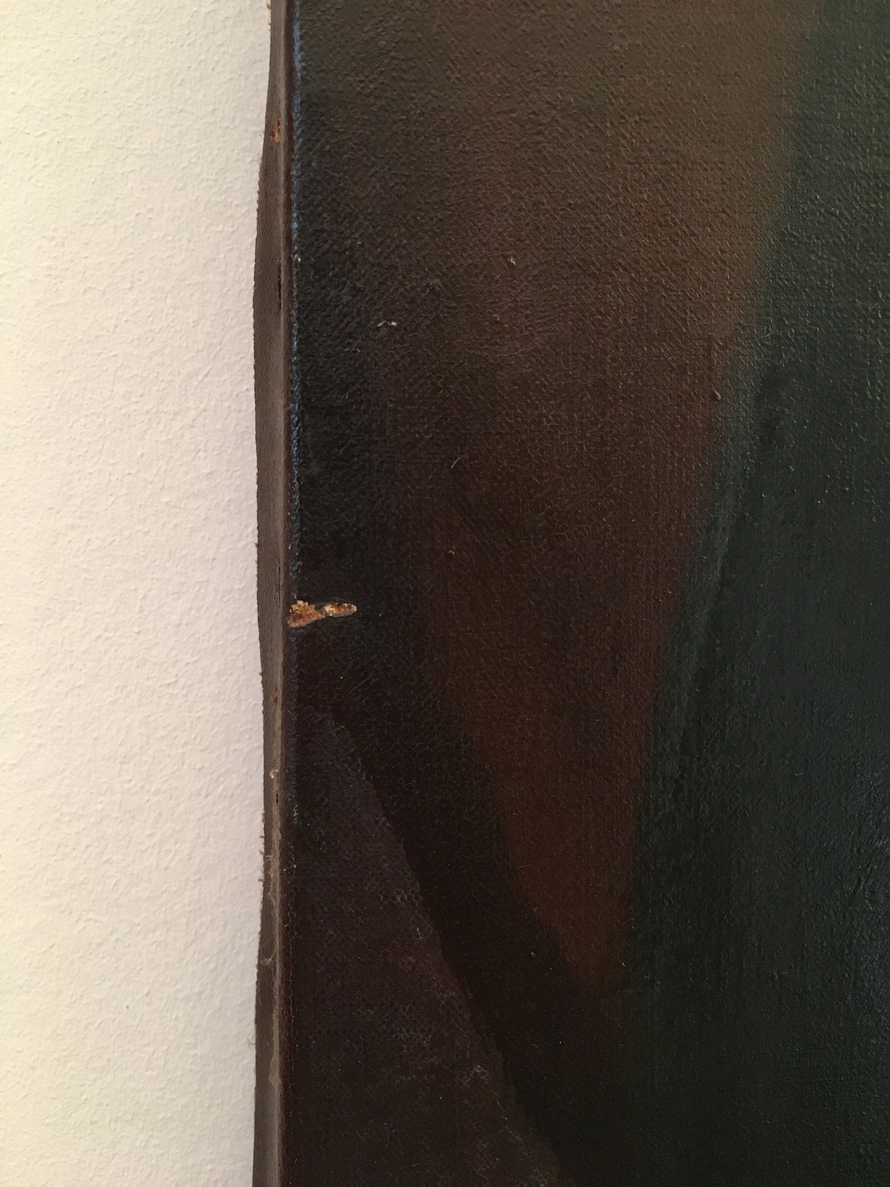 Old portrait of a woman in the late nineteenth century