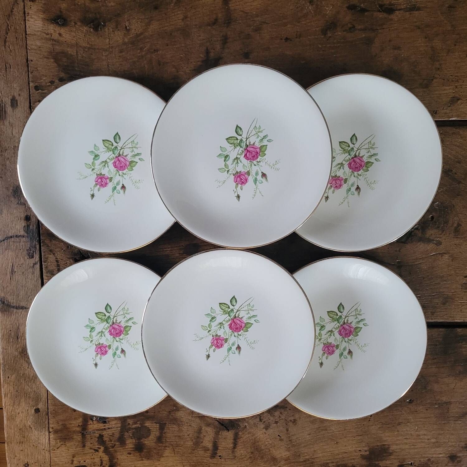 Gien 50s dinner plates