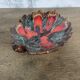 Plat Vallauris vintage