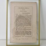 Botanical plate