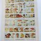Old engraving from 1920 - Mushrooms - Original plate - mycology