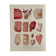 Lithograph on animal diseases from 1921