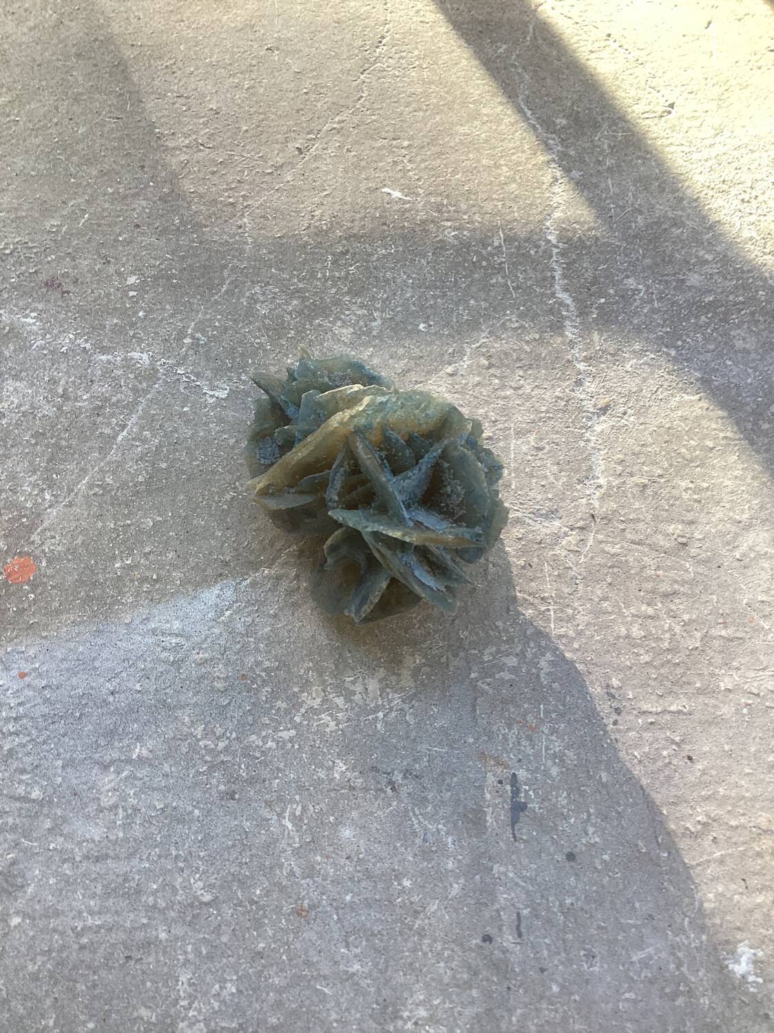 Small blue tinted sand rose