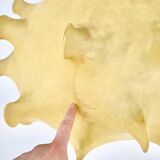 Taraxacum pendant lamp by Achille & Pier Giacomo Castiglioni for Flos, 1960