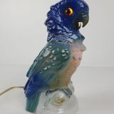 Night light parrot, twentieth century