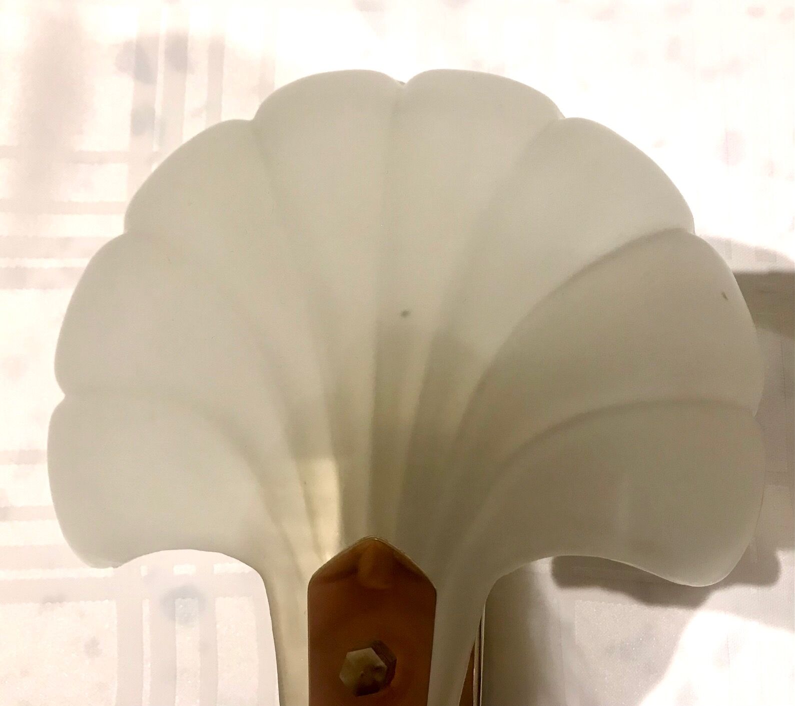 Pair of shell sconces