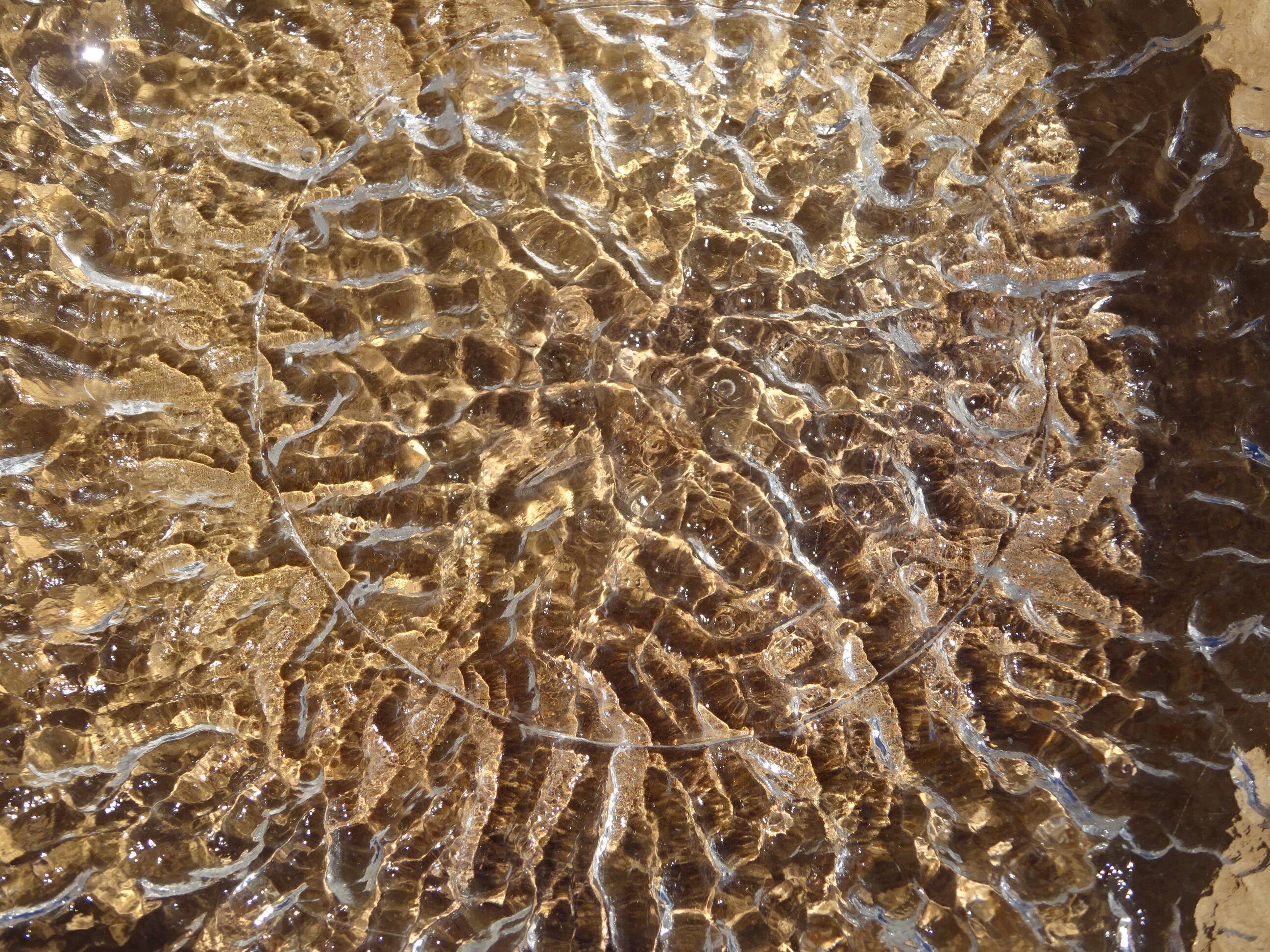 Ramequins et saladier en forme de pomme
