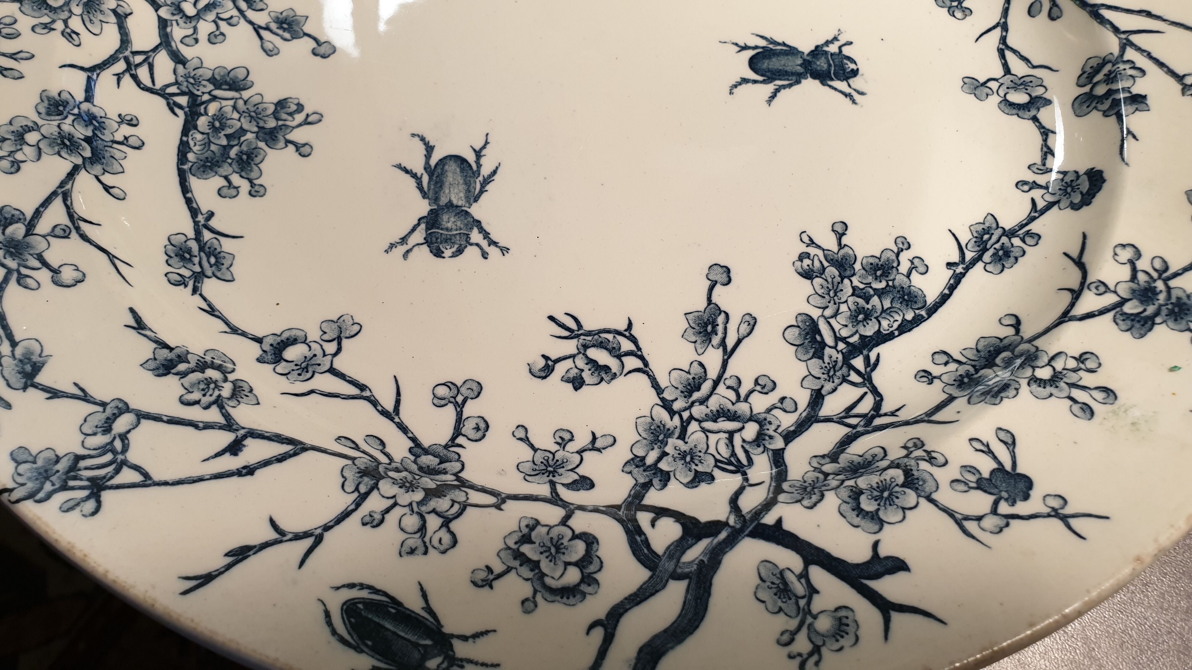 Serving dish décor with insects