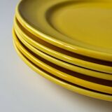 Yellow saline flat plates