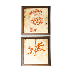 duo dessous plat