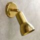 Mid-Century Italian Brass Wall Reflector Lamp, 1960s