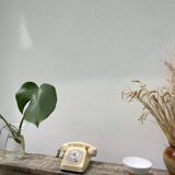 Vintage beige rotary telephone