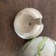 Mustard pot - slip - duck