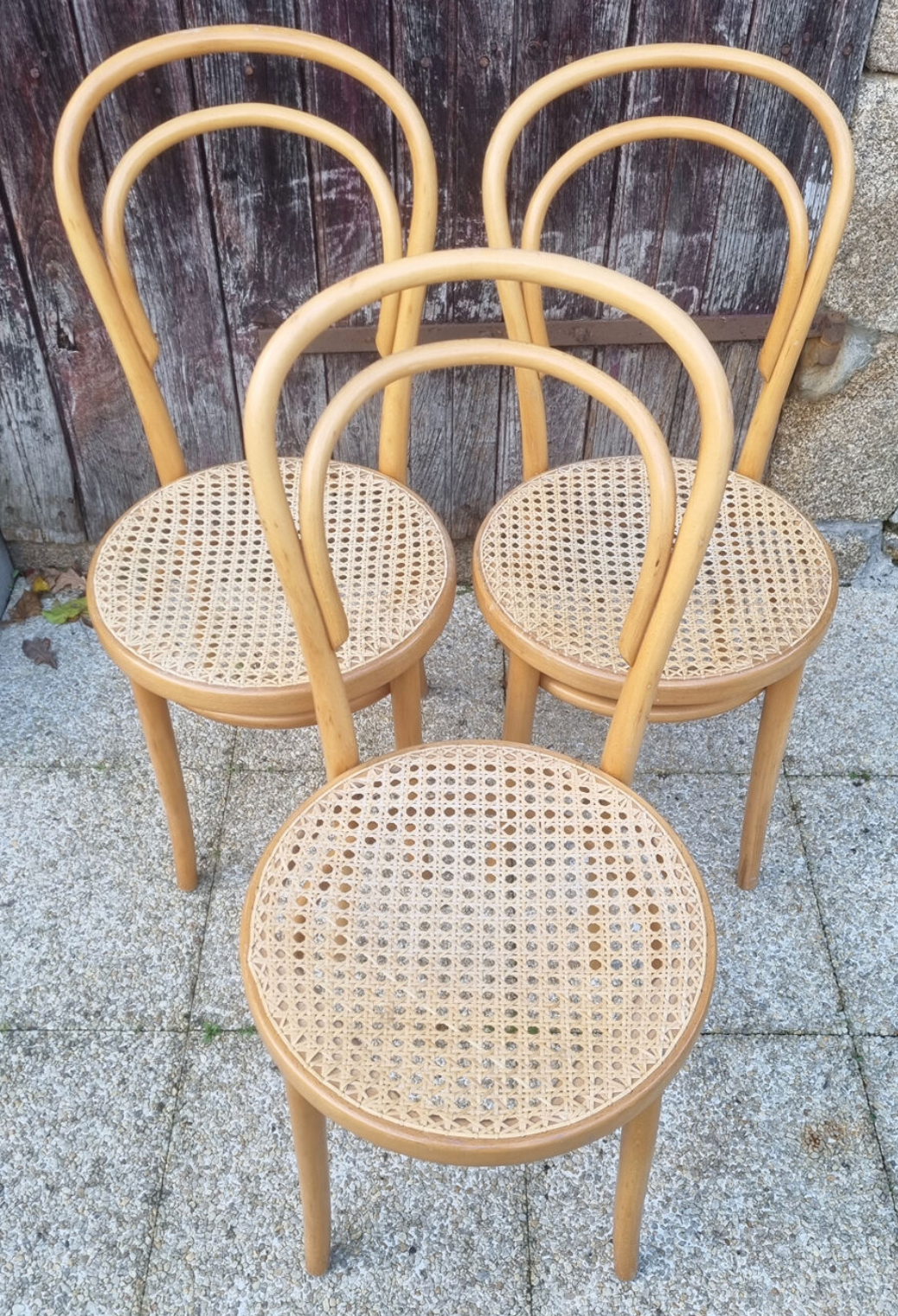 3 chairs published by ZPM Radomsko, model created by Thonet cannées N°14