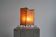Mid-century table lamp in goat leather and wrought iron, 1950s