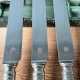 12 antique Ercuis table knives in silver metal