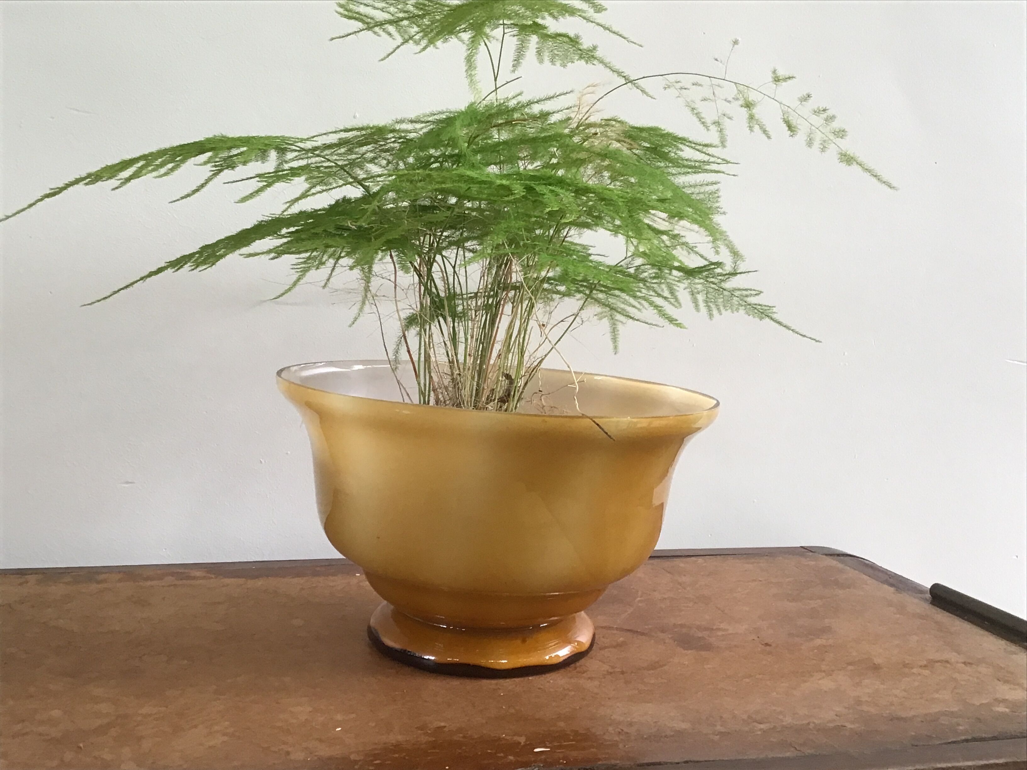 Orange-yellow opaline cup