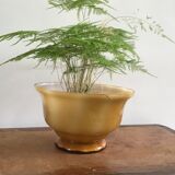 Coupe opaline jaune orangé