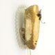 Mid century brass wall sconce