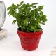 70s Ceramic Planter | West German Pottery