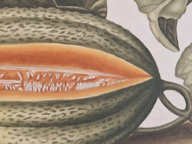La Roche Laffitte (Born in 1943) - Watercolour drawing on silk - Melon