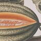 La Roche Laffitte (Born in 1943) - Watercolour drawing on silk - Melon