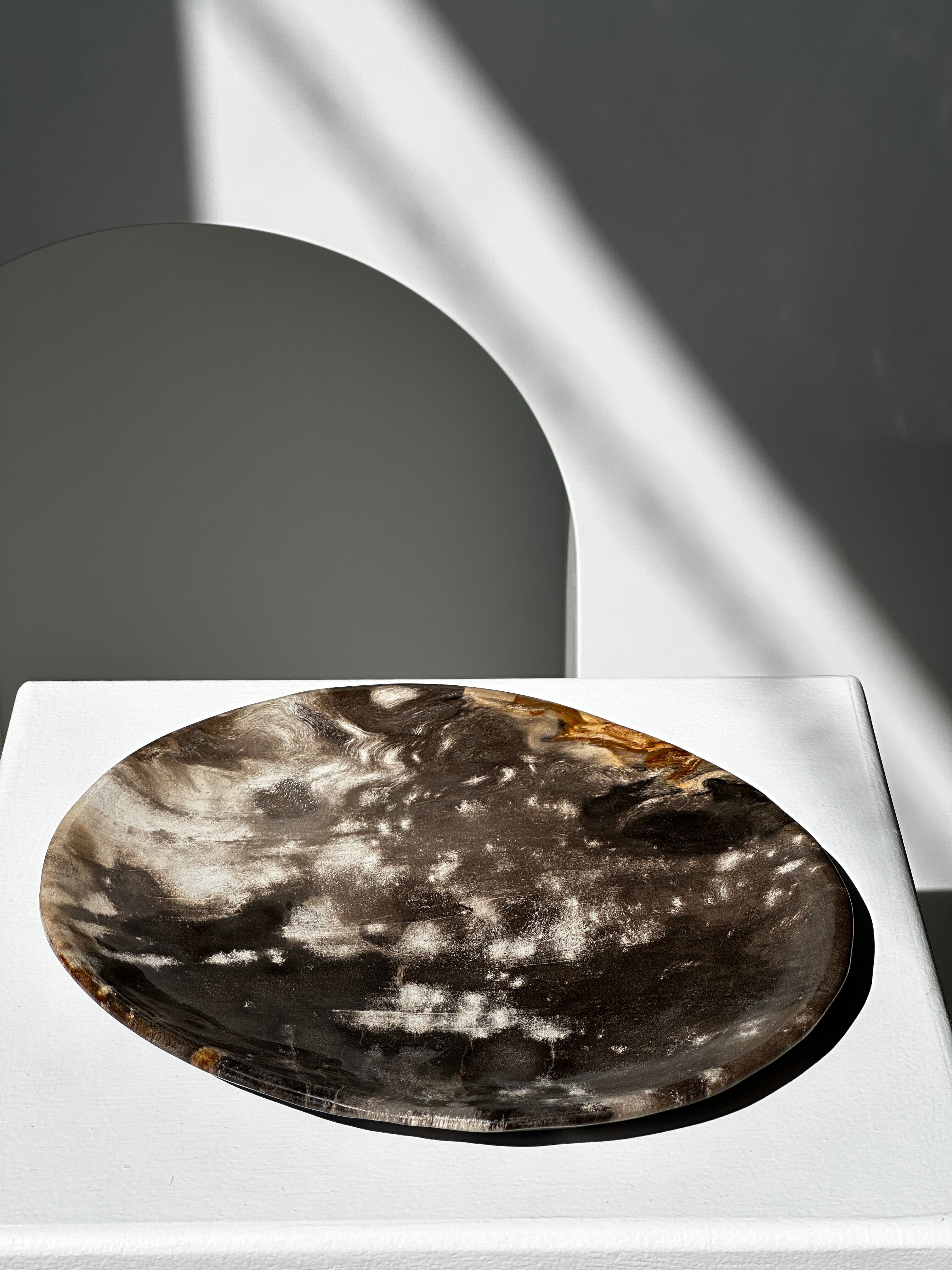 Dish in petrified wood