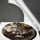 Dish in petrified wood