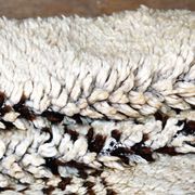 Petit Tapis Beni Ouarain vintage