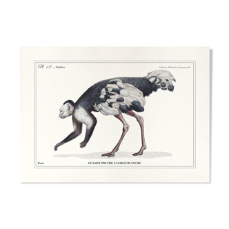 Lithograph engraving chimu00e8re animal - the saddingruche