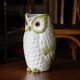 Pretty old decanter in owl / owl slurry