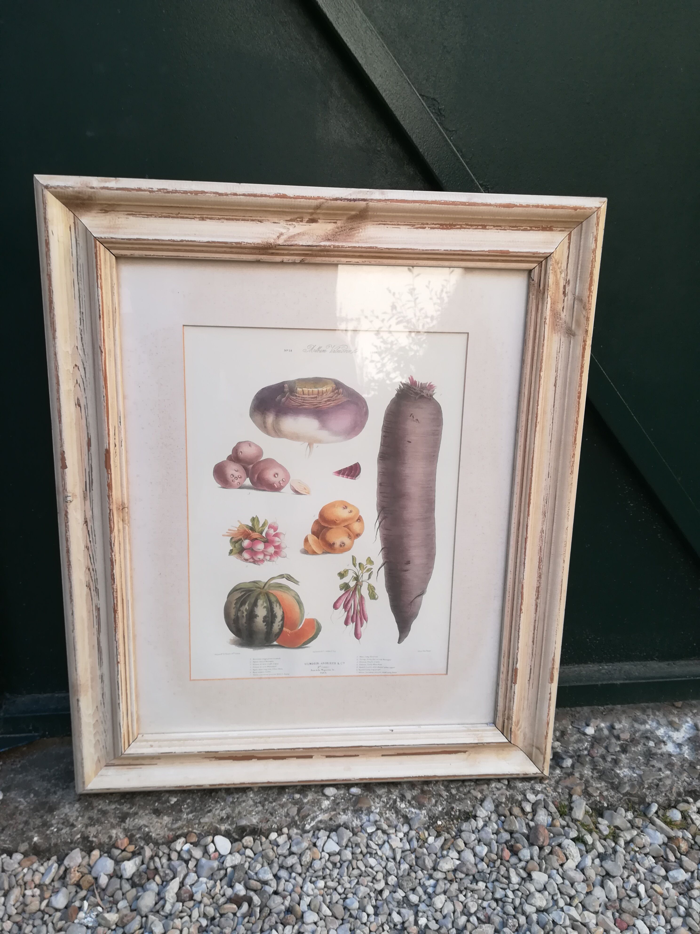 Framed botanical plank, vegetables