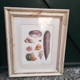 Framed botanical plank, vegetables