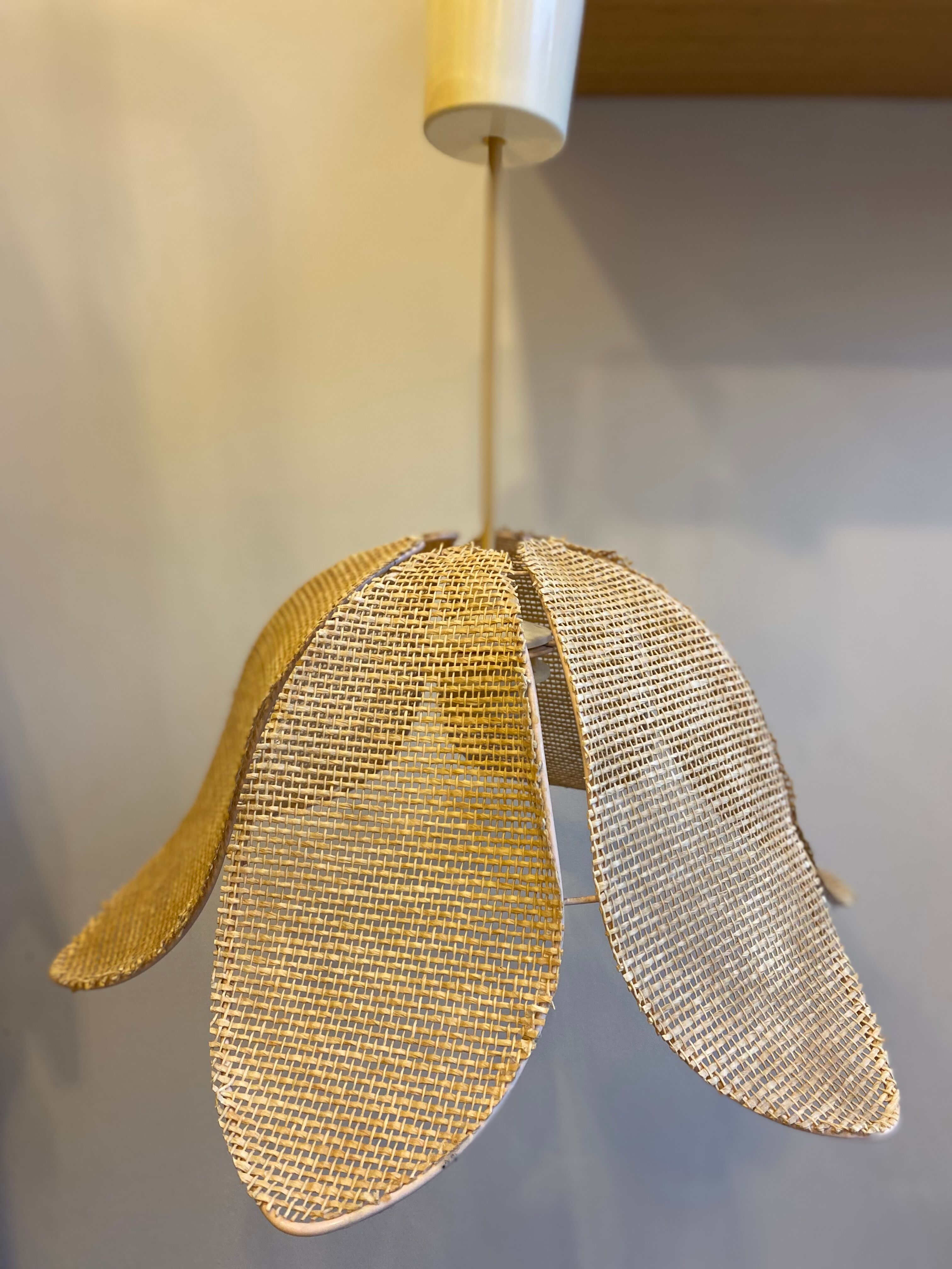 Rattan suspension