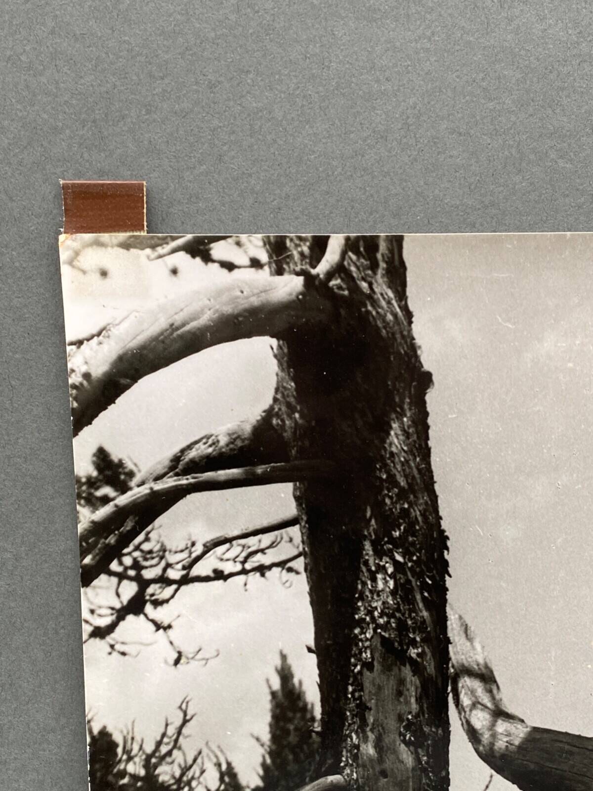 Photographie argentique Bernard Darot Les Vaincus XXe AFIAP
